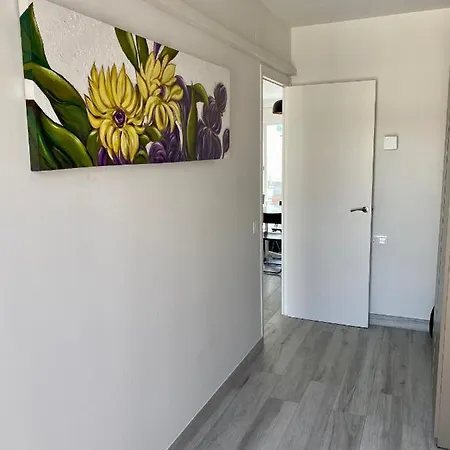 Appartement Pure Sunlovers Centre